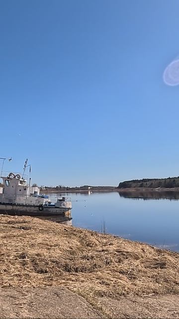 г. Тотьма утренний галдеж.. всем хорошего дня смотреть онлайн