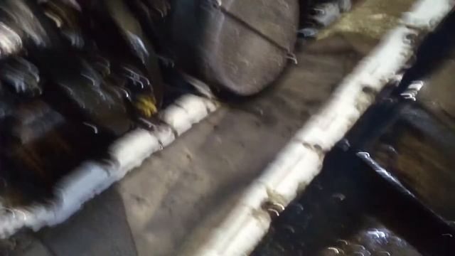 Двигатель железного носорога ч2 уныние продолжается