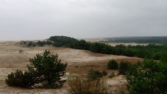 Куршская коса 2021.09.23 смотреть онлайн