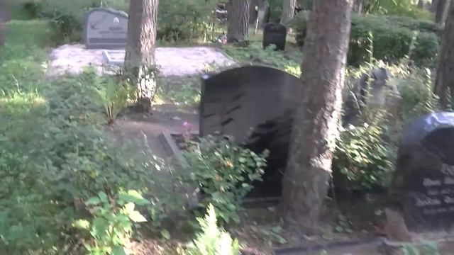 Иришины 22 8 2014