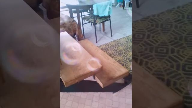 Мыльные пузыри атакуют смотреть онлайн