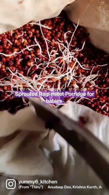 Sprouted Ragi millet porridge recipe for 8+ months above #baby #babyfood#babyrecipes #sprouts#ragi смотреть онлайн