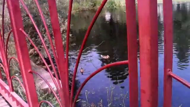 Катя смотреть онлайн