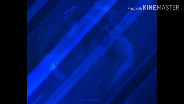 Шпигель программы вести 2010-2017 смотреть онлайн