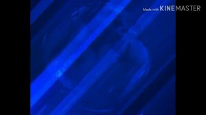 Шпигель программы вести 2010-2017