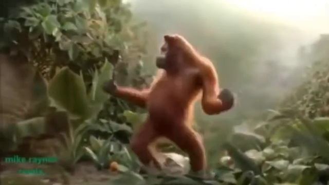 Monkey bot смотреть онлайн