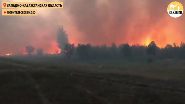 Пожар дошёл до жилых домов смотреть онлайн