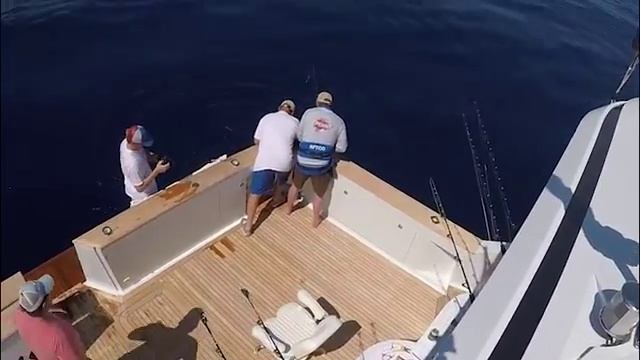 2016 Los Cabos Billfish Tournament | Team Sol Pursuit | Blue Marlin