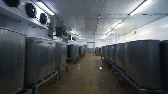 О лаборатории Лесные поляны Производство сметаны смотреть онлайн