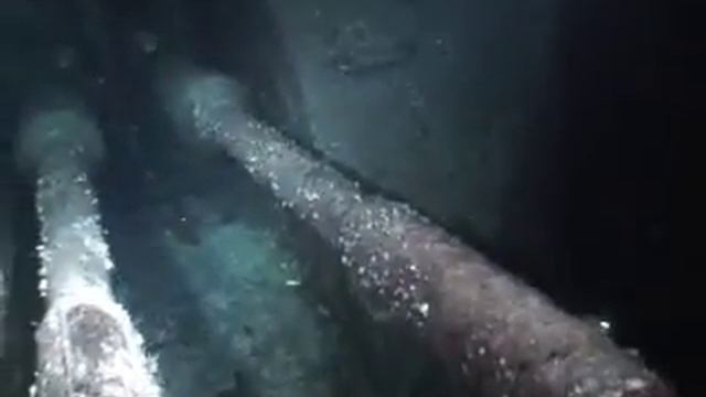 Grand Cayman Adventure смотреть онлайн