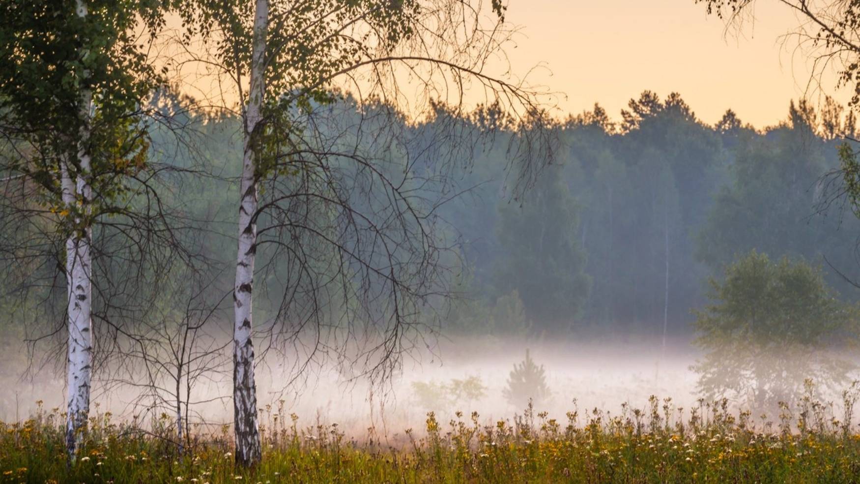 Алексей Повираев Плывут туманы белые смотреть онлайн