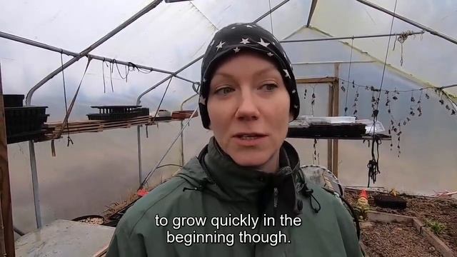 Potatoes, blueberry cuttings and pruning – My March vlog смотреть онлайн