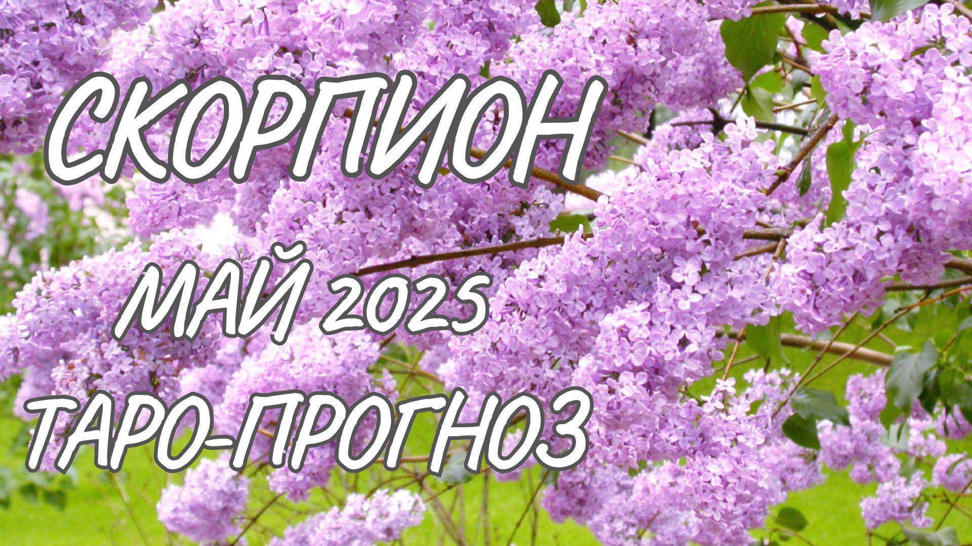 Скорпион ♏ Таро-прогноз на май 2025 года смотреть онлайн
