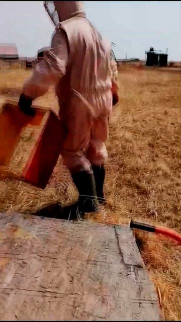 #Среднерусская пчела #Обжигаем корпуса ч.2 #Маришка и Михалыч #Shorts смотреть онлайн