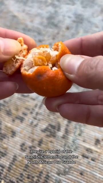 Being With Me Is Like Being With That One Friend Who Stops At Every Fruit Tree To Add To The Fam🙊🍊