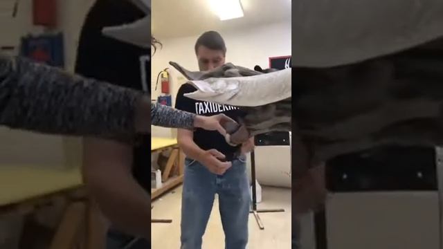 Learn Taxidermy: Habitat Seminar