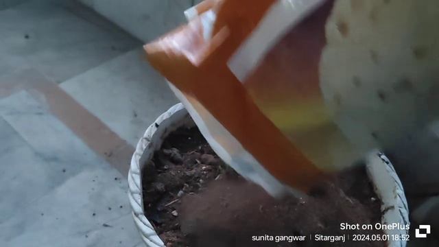 Hydrangea समर केयर смотреть онлайн