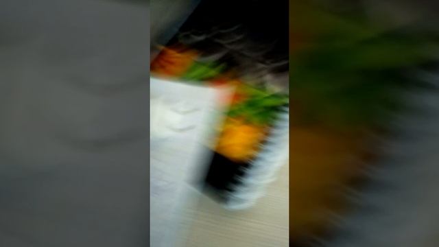 Тайное коллекционное издание гта смотреть онлайн