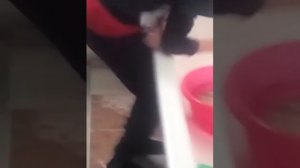 Как правильно убивать карпа:-)(^_-)^_^(^o^)