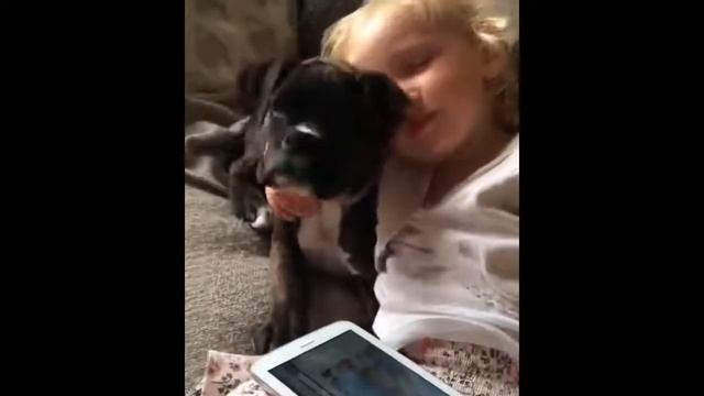 Детишки и собаки, собаки няни, малышы смотреть онлайн