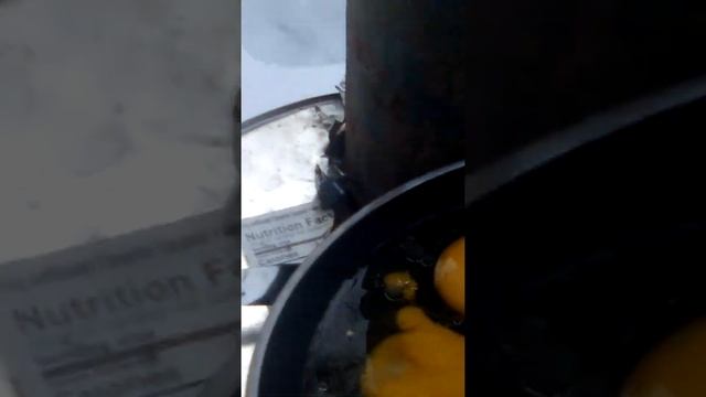 Damper added: 2.4 gallon waste basket backpack tent wood stove cooking two eggs more than 2x faster смотреть онлайн