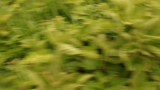 Весна накормит!