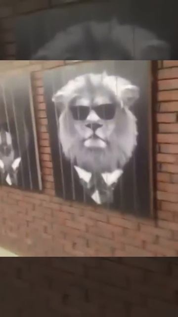 Отзыв#4 Картины на досках для барбершопа смотреть онлайн