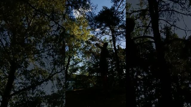 Forest Dance / Atlantida Project / Атлантида 2020 (Cybernetic Version) смотреть онлайн