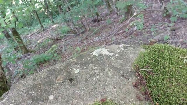 Цепь серебро. Бисмарк с драконами 160 грамм смотреть онлайн