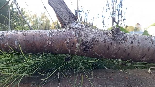 схватка 1 сезон 3 серия смотреть онлайн