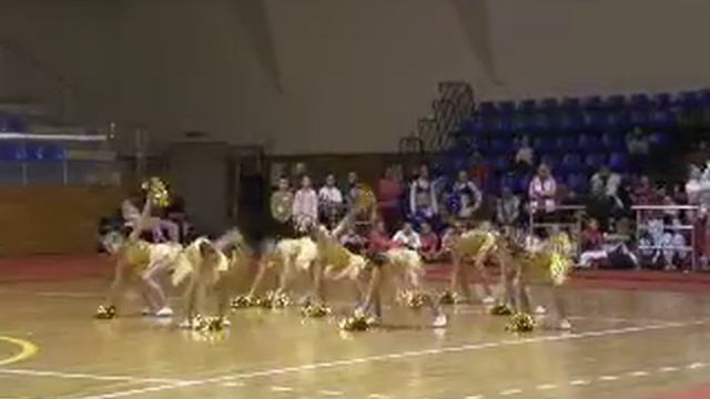 чер-данс-помпон 2