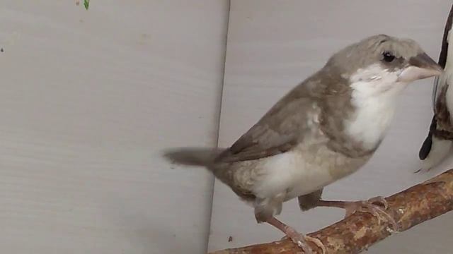 11 декабря 2022 г. смотреть онлайн