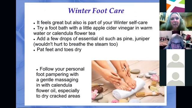 Homegrown Health: Essential Herbs For Wellbeing