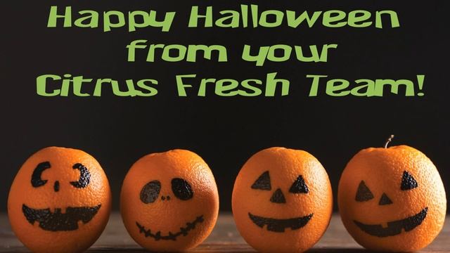 Citrus Fresh Carpet & Rug Cleaning Services