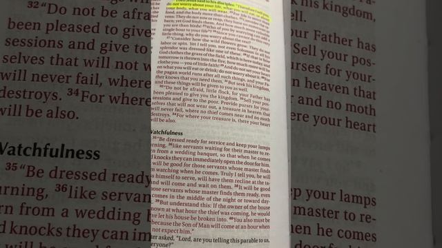 Prophetic Word: Don’t take it Personal‼️Luke 12:22 смотреть онлайн