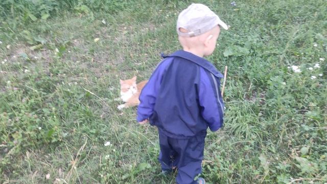 VID_20210704_165744 - Сурикат смотреть онлайн