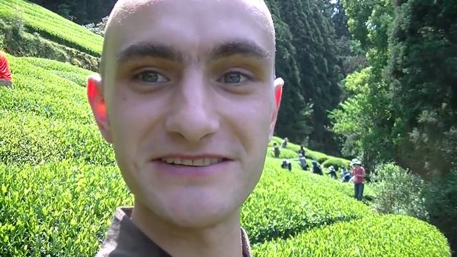 Daily-T(ea) - ep.2 Tea picking contest смотреть онлайн