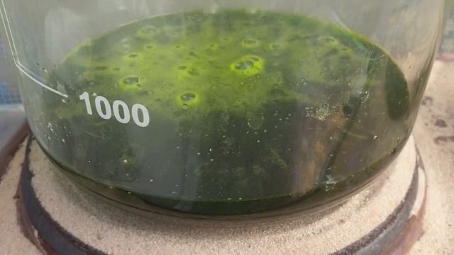 Аффинаж советской лигатуры(советские разъемы). Выход порадовал.... больше унции золота... смотреть онлайн