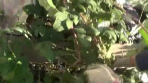 Первый дом в Потеряевке потребовал ремонта.   Сент.  2022