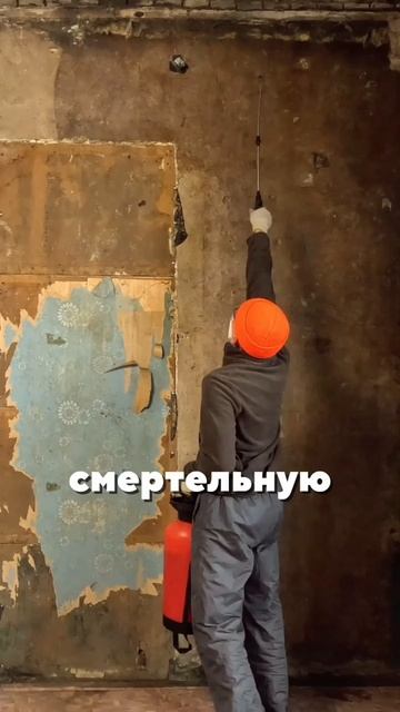 борьба с черной плесенью #ремонт #ремонтвдоме #своимируками #стройка #частныедома смотреть онлайн