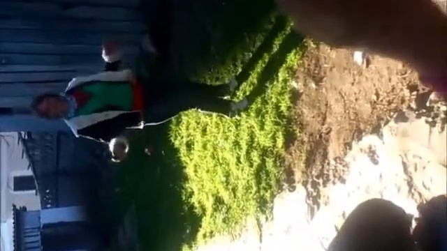 dansacioasa din Lunca la Tisa смотреть онлайн