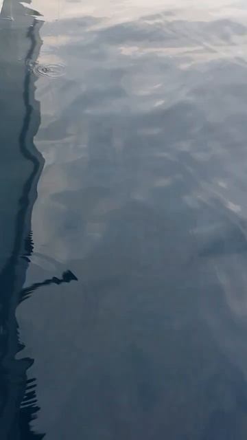 traditional amazing tuna fishing. video mancing ikan tuna.#ловит #amazing #shorts shorts смотреть онлайн