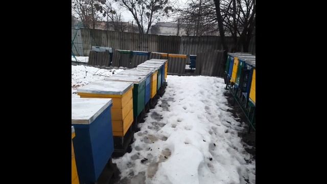 Выставка пчеловодства 2022 Харьков смотреть онлайн