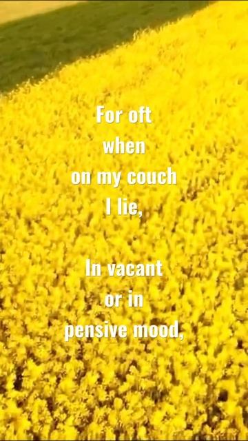 “I WANDERED lonely as a CLOUD”🌼| Excerpt from Wordsworth poem #daffodils #memories #quotes #shorts смотреть онлайн