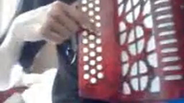 Pato a la olla acordeon sol смотреть онлайн