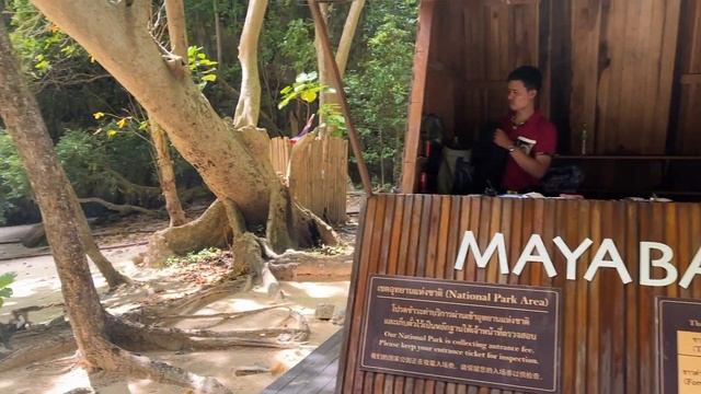 KRABI TO PHI PHI ISLAND 🇹🇭 TOUR | MAYA BAY | TOUR GUIDE #phiphiisland #mayabay #krabitophiphi смотреть онлайн