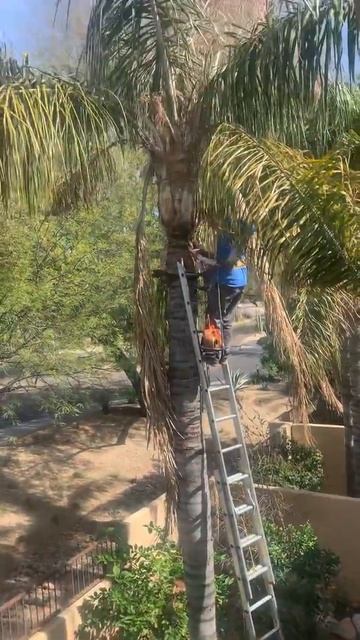 9065 E Gary Rd #148- Palms смотреть онлайн