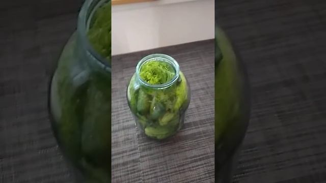 Малосольные огурчики.