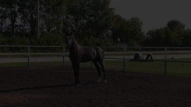 Командующий смотреть онлайн