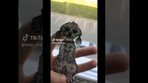 подборка бумажных собак из тик тока /бумажные собаки/ перезалив